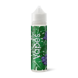 Жидкость Vapes - Ice Grape 60ml 6mg