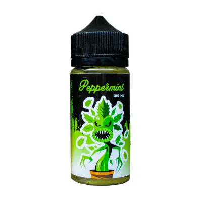 Жидкость для электронных сигарет No Name Lab - Peppermint 100ml 0mg - фото 1