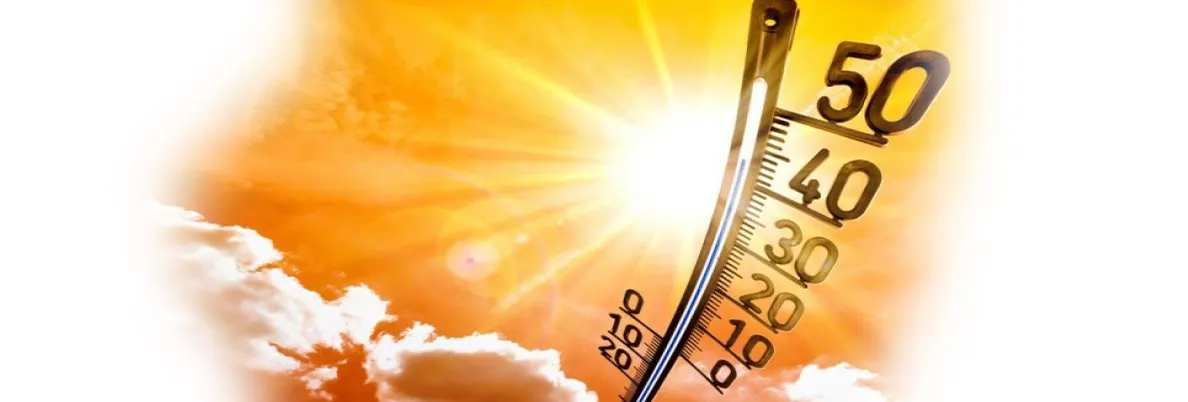 Как хранить жидкость и сохранить вкус? Фото-1