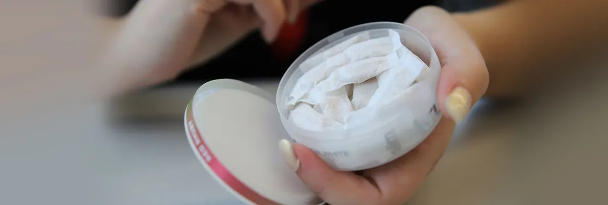 Никотиновые паучи что это? Фото-2