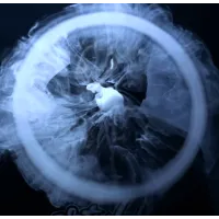 Вейп трюки. Найпопулярніші трюки з електронною сигаретою.